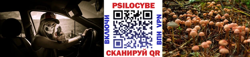 Галлюциногенные грибы мицелий  закладки  Черепаново 